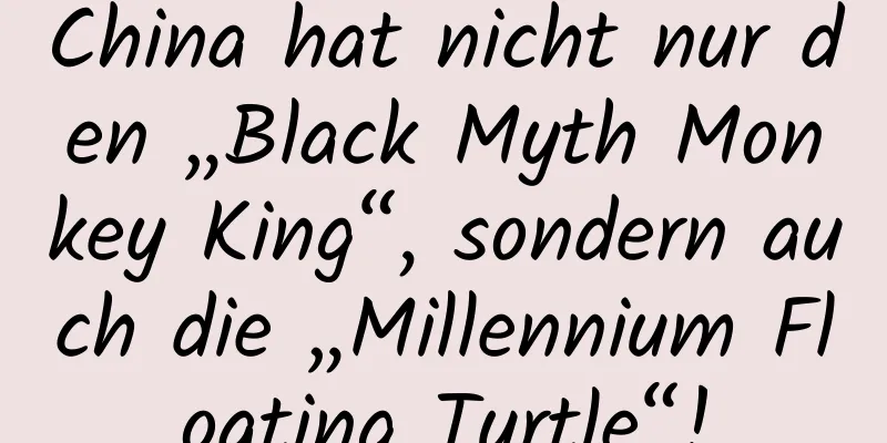 China hat nicht nur den „Black Myth Monkey King“, sondern auch die „Millennium Floating Turtle“!