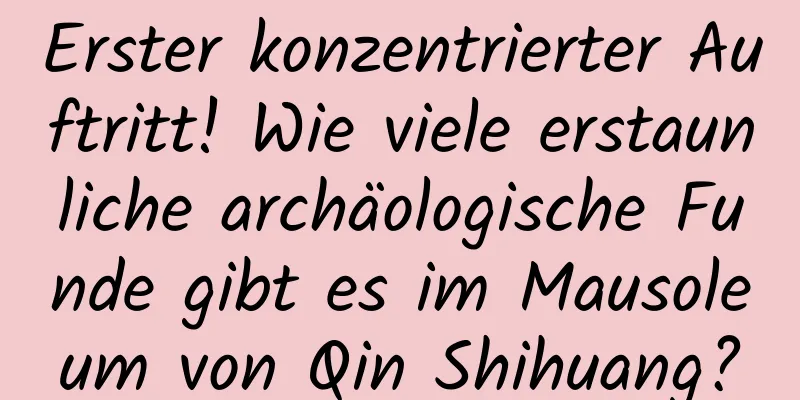 Erster konzentrierter Auftritt! Wie viele erstaunliche archäologische Funde gibt es im Mausoleum von Qin Shihuang?