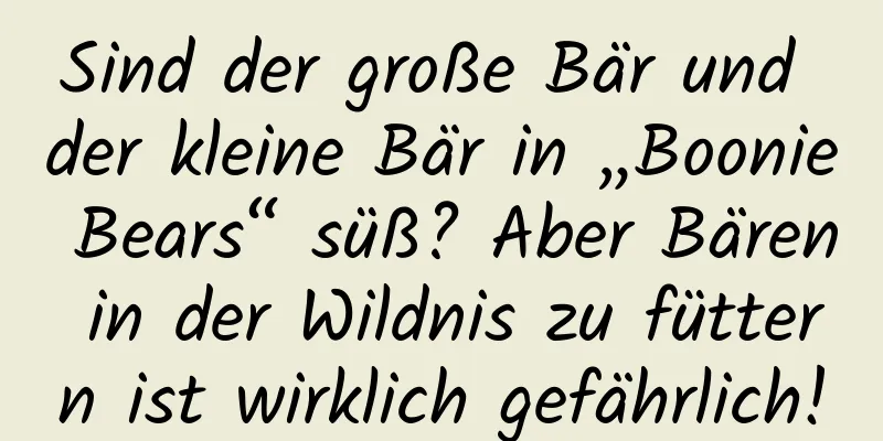 Sind der große Bär und der kleine Bär in „Boonie Bears“ süß? Aber Bären in der Wildnis zu füttern ist wirklich gefährlich!