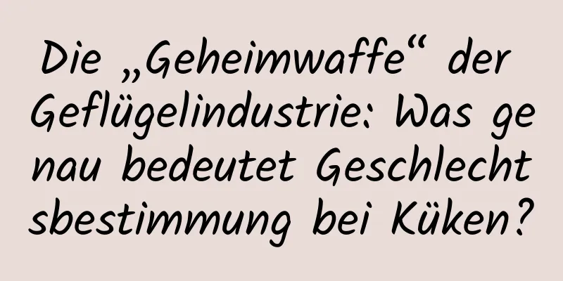 Die „Geheimwaffe“ der Geflügelindustrie: Was genau bedeutet Geschlechtsbestimmung bei Küken?