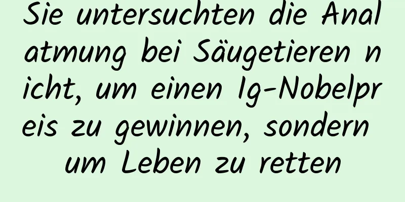 Sie untersuchten die Analatmung bei Säugetieren nicht, um einen Ig-Nobelpreis zu gewinnen, sondern um Leben zu retten