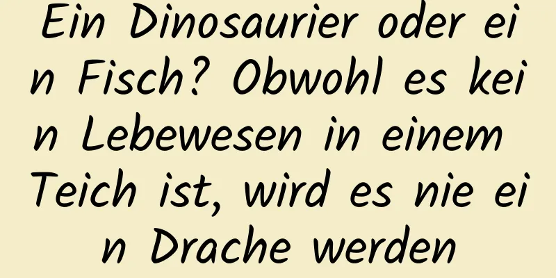 Ein Dinosaurier oder ein Fisch? Obwohl es kein Lebewesen in einem Teich ist, wird es nie ein Drache werden