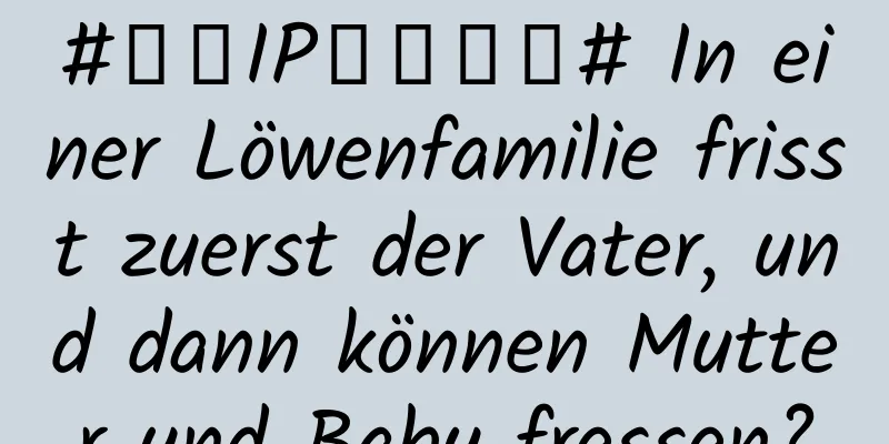 #千万IP创科学普# In einer Löwenfamilie frisst zuerst der Vater, und dann können Mutter und Baby fressen?
