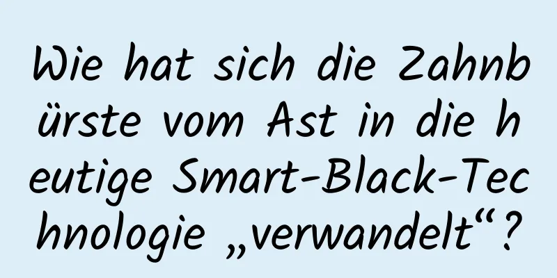 Wie hat sich die Zahnbürste vom Ast in die heutige Smart-Black-Technologie „verwandelt“?