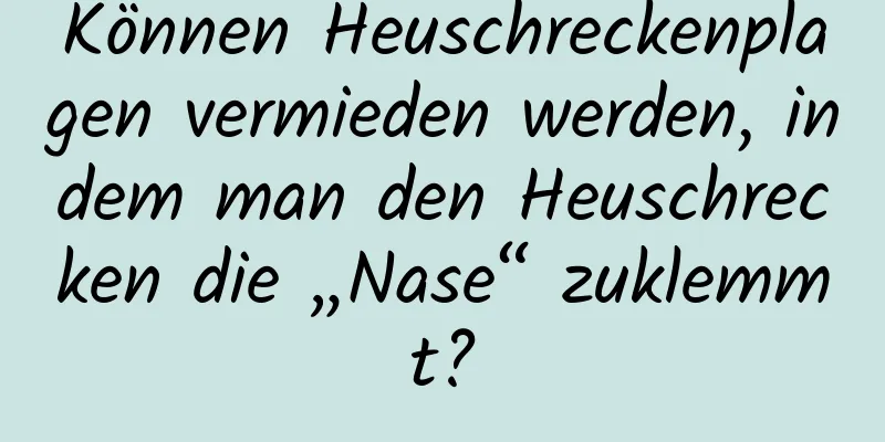 Können Heuschreckenplagen vermieden werden, indem man den Heuschrecken die „Nase“ zuklemmt?