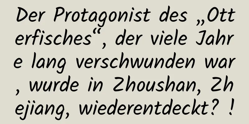 Der Protagonist des „Otterfisches“, der viele Jahre lang verschwunden war, wurde in Zhoushan, Zhejiang, wiederentdeckt? !