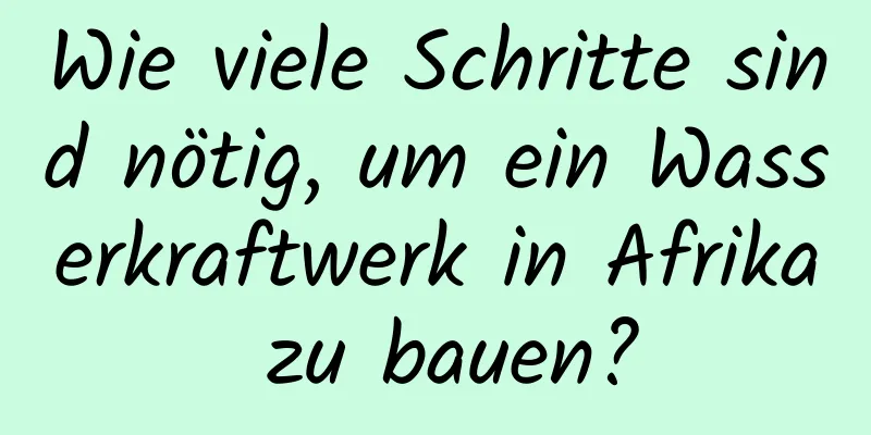 Wie viele Schritte sind nötig, um ein Wasserkraftwerk in Afrika zu bauen?