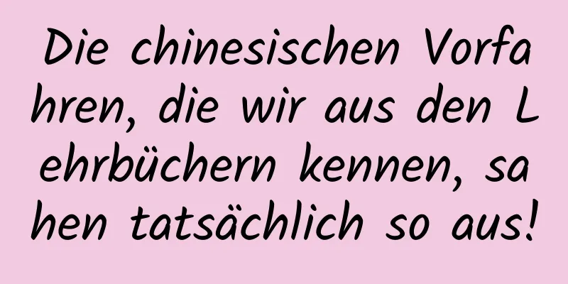Die chinesischen Vorfahren, die wir aus den Lehrbüchern kennen, sahen tatsächlich so aus!