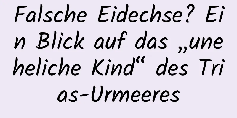 Falsche Eidechse? Ein Blick auf das „uneheliche Kind“ des Trias-Urmeeres