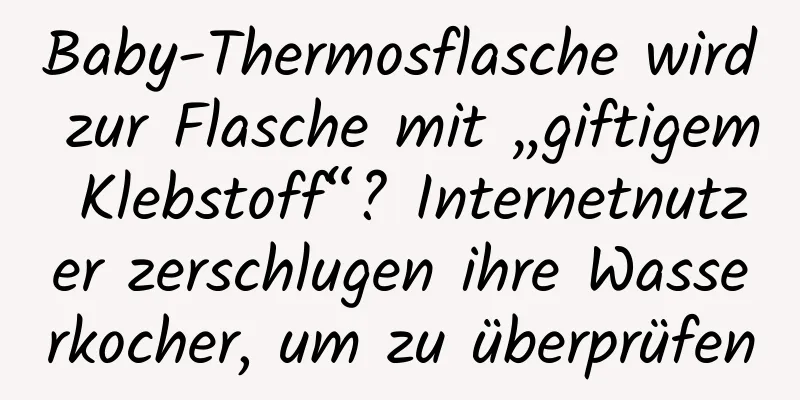 Baby-Thermosflasche wird zur Flasche mit „giftigem Klebstoff“? Internetnutzer zerschlugen ihre Wasserkocher, um zu überprüfen