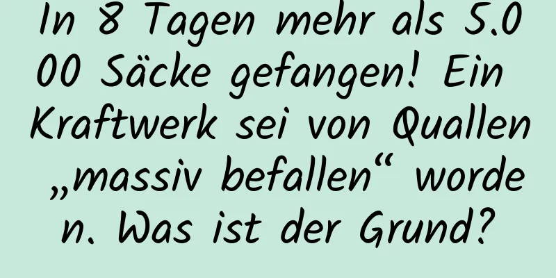 In 8 Tagen mehr als 5.000 Säcke gefangen! Ein Kraftwerk sei von Quallen „massiv befallen“ worden. Was ist der Grund?