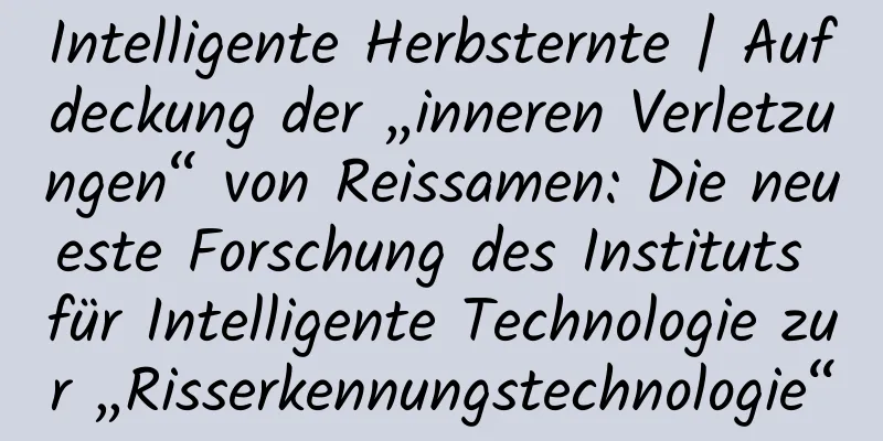 Intelligente Herbsternte | Aufdeckung der „inneren Verletzungen“ von Reissamen: Die neueste Forschung des Instituts für Intelligente Technologie zur „Risserkennungstechnologie“