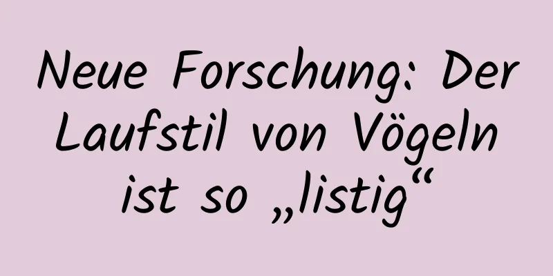 Neue Forschung: Der Laufstil von Vögeln ist so „listig“