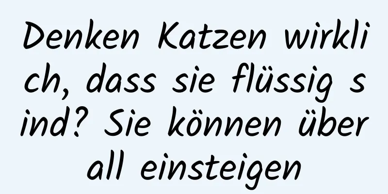 Denken Katzen wirklich, dass sie flüssig sind? Sie können überall einsteigen