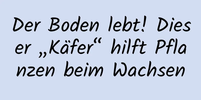 Der Boden lebt! Dieser „Käfer“ hilft Pflanzen beim Wachsen