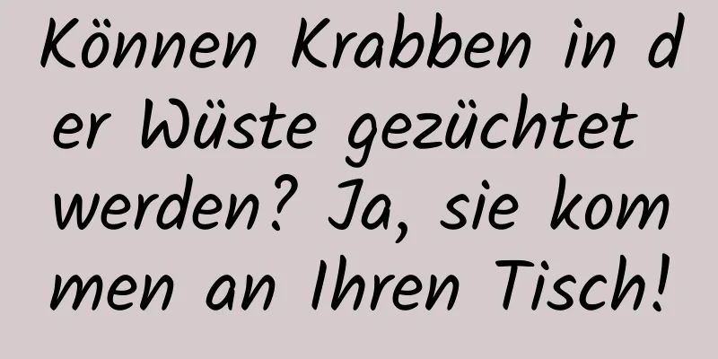 Können Krabben in der Wüste gezüchtet werden? Ja, sie kommen an Ihren Tisch!