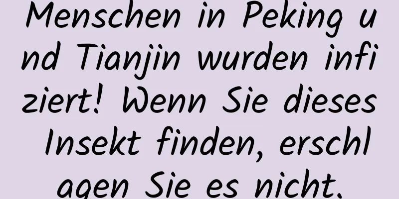 Menschen in Peking und Tianjin wurden infiziert! Wenn Sie dieses Insekt finden, erschlagen Sie es nicht.