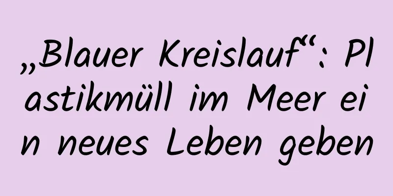 „Blauer Kreislauf“: Plastikmüll im Meer ein neues Leben geben
