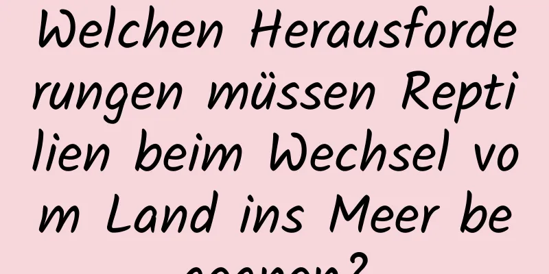Welchen Herausforderungen müssen Reptilien beim Wechsel vom Land ins Meer begegnen?