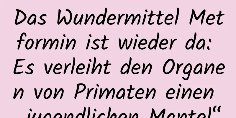 Das Wundermittel Metformin ist wieder da: Es verleiht den Organen von Primaten einen „jugendlichen Mantel“