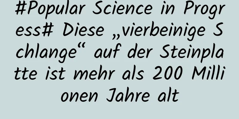 #Popular Science in Progress# Diese „vierbeinige Schlange“ auf der Steinplatte ist mehr als 200 Millionen Jahre alt
