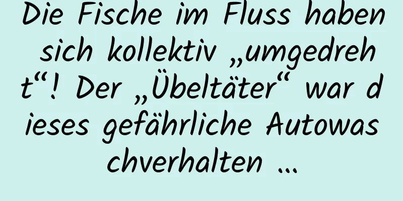 Die Fische im Fluss haben sich kollektiv „umgedreht“! Der „Übeltäter“ war dieses gefährliche Autowaschverhalten …