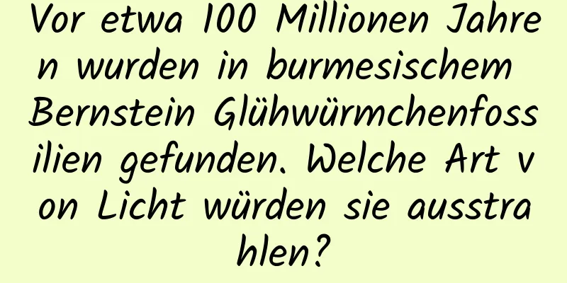Vor etwa 100 Millionen Jahren wurden in burmesischem Bernstein Glühwürmchenfossilien gefunden. Welche Art von Licht würden sie ausstrahlen?
