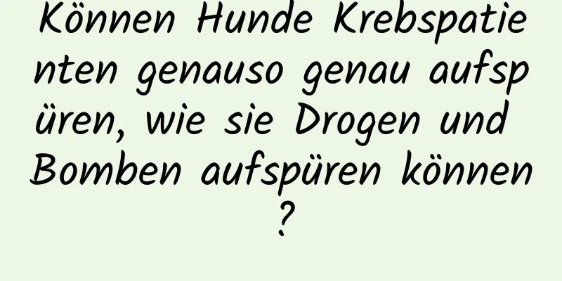 Können Hunde Krebspatienten genauso genau aufspüren, wie sie Drogen und Bomben aufspüren können?