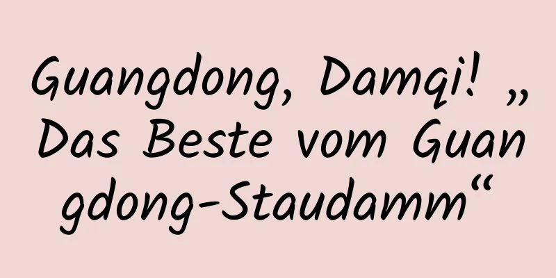 Guangdong, Damqi! „Das Beste vom Guangdong-Staudamm“