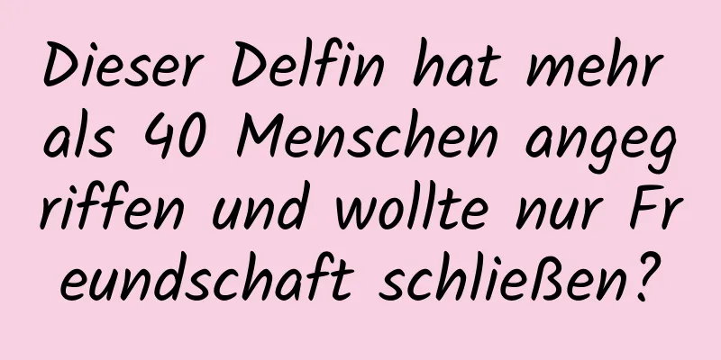 Dieser Delfin hat mehr als 40 Menschen angegriffen und wollte nur Freundschaft schließen?