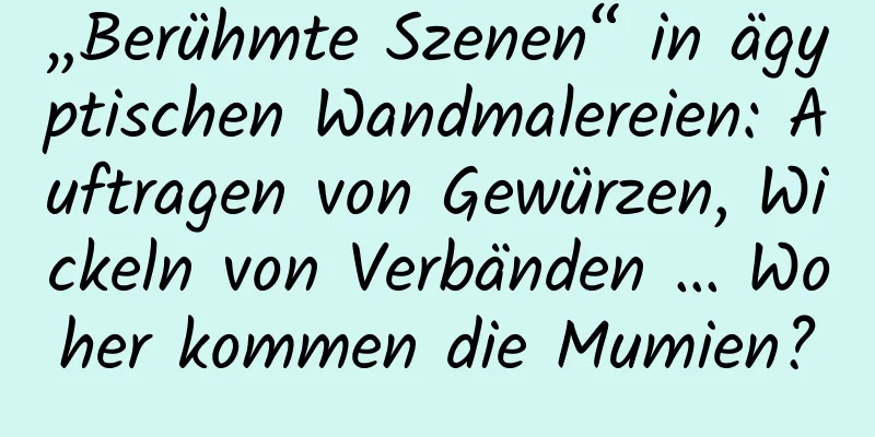„Berühmte Szenen“ in ägyptischen Wandmalereien: Auftragen von Gewürzen, Wickeln von Verbänden … Woher kommen die Mumien?