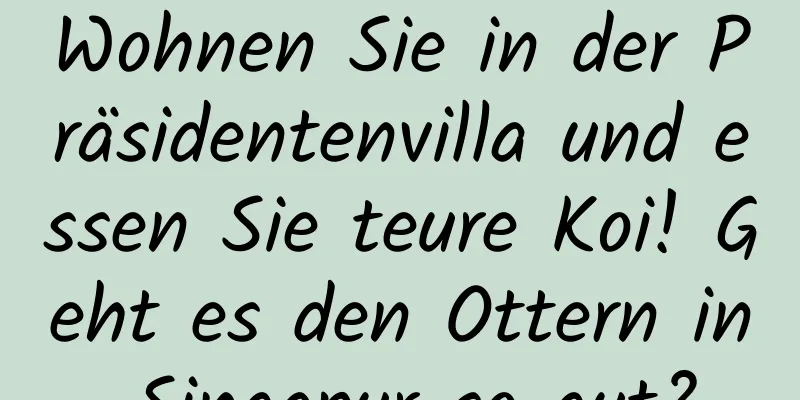 Wohnen Sie in der Präsidentenvilla und essen Sie teure Koi! Geht es den Ottern in Singapur so gut?