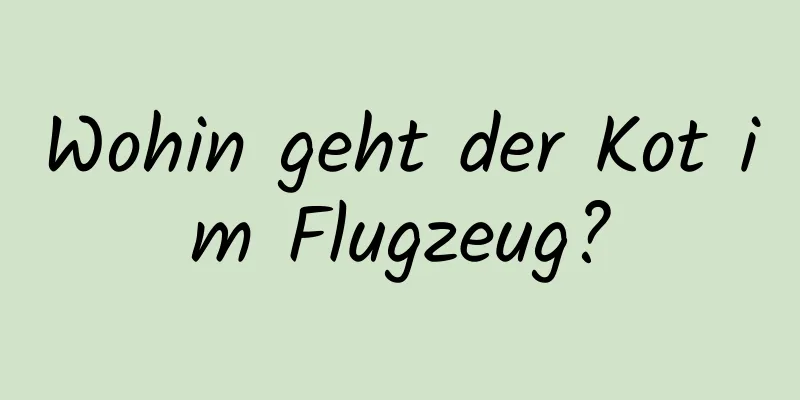 Wohin geht der Kot im Flugzeug?