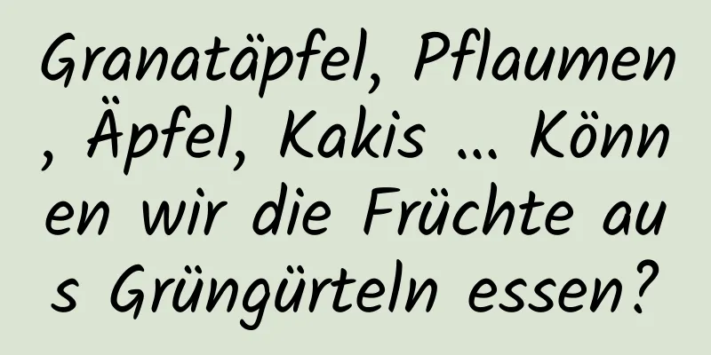 Granatäpfel, Pflaumen, Äpfel, Kakis … Können wir die Früchte aus Grüngürteln essen?