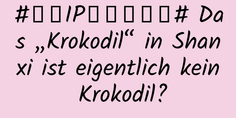#千万IP创科学热门# Das „Krokodil“ in Shanxi ist eigentlich kein Krokodil?