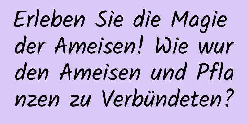 Erleben Sie die Magie der Ameisen! Wie wurden Ameisen und Pflanzen zu Verbündeten?
