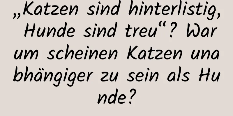 „Katzen sind hinterlistig, Hunde sind treu“? Warum scheinen Katzen unabhängiger zu sein als Hunde?