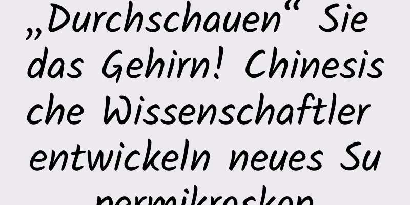 „Durchschauen“ Sie das Gehirn! Chinesische Wissenschaftler entwickeln neues Supermikroskop