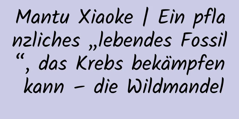 Mantu Xiaoke | Ein pflanzliches „lebendes Fossil“, das Krebs bekämpfen kann – die Wildmandel