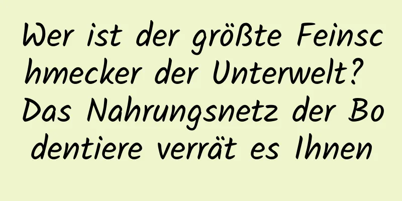 Wer ist der größte Feinschmecker der Unterwelt? Das Nahrungsnetz der Bodentiere verrät es Ihnen