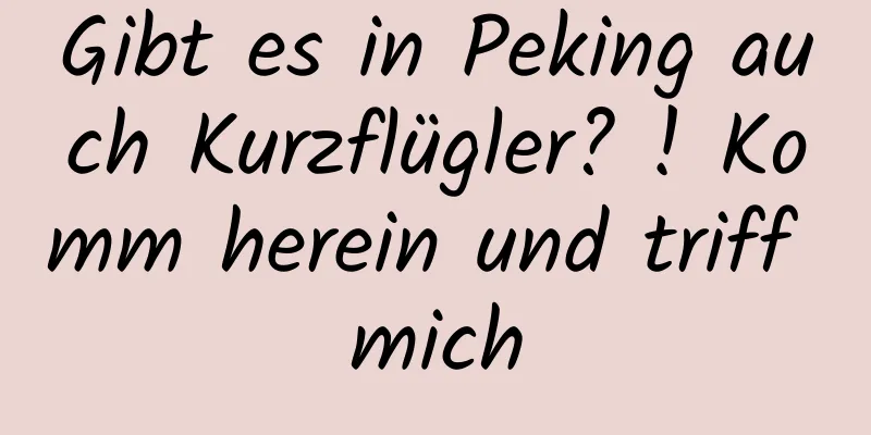 Gibt es in Peking auch Kurzflügler? ! Komm herein und triff mich