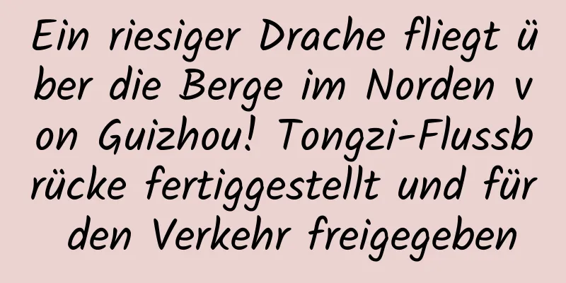 Ein riesiger Drache fliegt über die Berge im Norden von Guizhou! Tongzi-Flussbrücke fertiggestellt und für den Verkehr freigegeben
