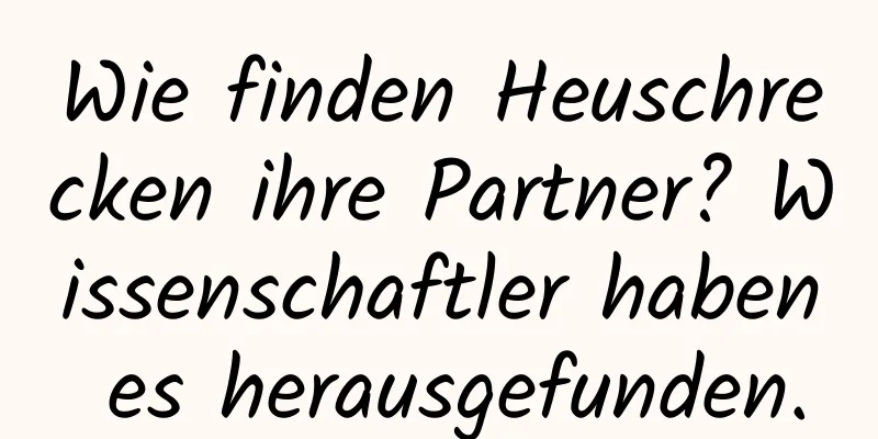 Wie finden Heuschrecken ihre Partner? Wissenschaftler haben es herausgefunden.