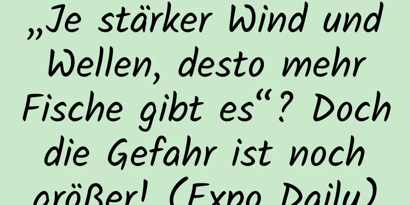 „Je stärker Wind und Wellen, desto mehr Fische gibt es“? Doch die Gefahr ist noch größer! (Expo Daily)