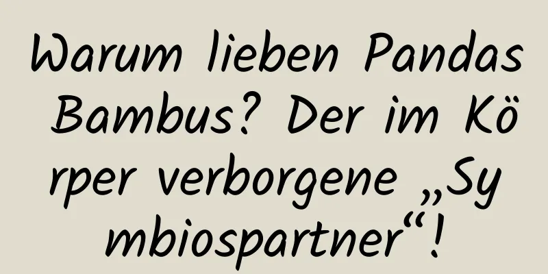 Warum lieben Pandas Bambus? Der im Körper verborgene „Symbiospartner“!