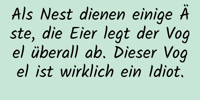 Als Nest dienen einige Äste, die Eier legt der Vogel überall ab. Dieser Vogel ist wirklich ein Idiot.
