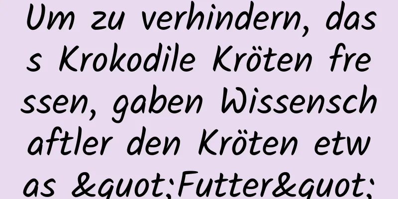 Um zu verhindern, dass Krokodile Kröten fressen, gaben Wissenschaftler den Kröten etwas "Futter"