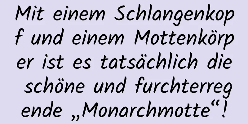 Mit einem Schlangenkopf und einem Mottenkörper ist es tatsächlich die schöne und furchterregende „Monarchmotte“!