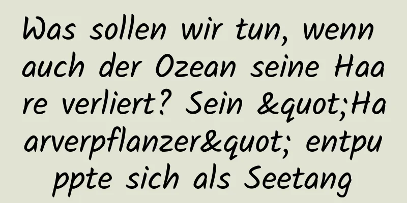Was sollen wir tun, wenn auch der Ozean seine Haare verliert? Sein "Haarverpflanzer" entpuppte sich als Seetang