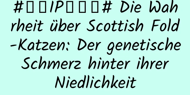 #千万IP创科普# Die Wahrheit über Scottish Fold-Katzen: Der genetische Schmerz hinter ihrer Niedlichkeit